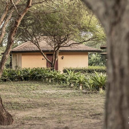 Tan-Swiss Lodge Mikumi Εξωτερικό φωτογραφία